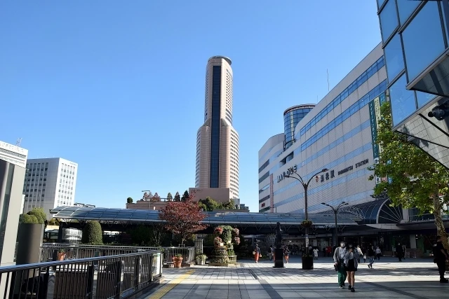 成功事例：実際の調査報告
