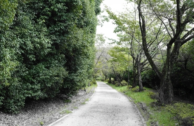 静岡県で人探しをサポート｜大切なあの人はどこに・・｜信頼の探偵事務所Ｙ’ｓリサーチ